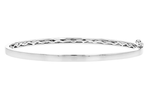 H319-08650: BANGLE (D235-41405 W/ CHANNEL FILLED IN & NO DIA)